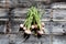 Bunch of organic Turnips with dirt and roots, authentic gardening