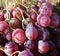 bunch of organically grown red globe variety pink table grapes