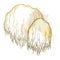 Bunch with outline Lion\\\'s mane mushroom or Hericium erinaceus in pastel beige isolated on white background.