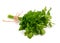 Bunch of Parsley isolated on white background.