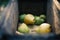 A bunch of pears in the fruit grinder machine, fruits in wooden fruit mill in garden, preparation for home making alcohol