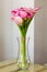 Bunch of pink callas in the vase