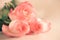 Bunch of pink roses on concrete background. Surprise Valentine`s Day, soft color toned. Copy space