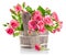 Bunch pink roses in wooden bucket