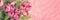 Bunch of pink tulips, soft and pastel colors vintage style, panoramic background