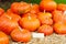 Bunch of plump and juicy holiday pumpkins