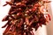 Bunch of pods paprika hungrian dried many vegetables spicy seasoning closeup decoration kitchen design