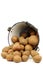 Bunch of potatoes coming out of an enamel bucket