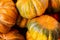 Bunch pumpkins mini orange green vegetables autumn harvest background