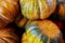 Bunch pumpkins orange green many vegetables autumn harvest background seasonal