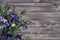 Bunch of purple and beige eustoma flowers prairie gentian, lisianthus on wooden background. Beautiful floral mockup