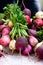 Bunch of radishes for sale at the farmers market