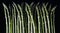 A Bunch Of Raw Asparagus Spears. Generative AI