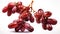 Bunch of red grapes on branch. Perfect for wine enthusiasts or food and beverage-related designs