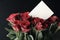 Bunch of Red Roses with Blank White Message Card