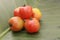 A bunch of red tomatoes on a green taro leaf background