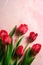 Bunch of red tulip flowers on textured pink background