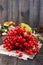 A bunch of red viburnum on a dark wooden background. Gifts of Autumn.