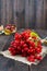 A bunch of red viburnum on a dark wooden background. Gifts of Autumn.