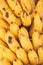 Bunch of ripe bananas. Sweet tropical fruits. Stack of baby bananas. Vegetarian food. Delicious fruits. Tasty exotic grocery.