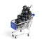 Bunch of ripe black grapes in the grocery cart on a white background