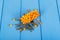 Bunch ripe buckthorn berries on tree colored in blue background.