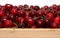 A bunch of ripe cherries with peduncles lies on a white background. Large collection of fresh red cherries. Ripe cherries