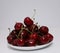 A bunch of ripe cherries with peduncles lies in a white plate. Large collection of fresh red cherries. Ripe cherries background