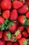 Bunch of Ripe Freshly Picked Organic Strawberries with Green Leaves at Farmers Market. Vibrant Vivid Colors. Summer Harvest