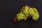 Bunch of ripe juicy sweet raisins grapes on a dark wooden background. low key. copy space, mock up