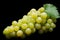 Bunch of ripe muscat grapes isolated