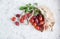 A bunch of ripe plums and a twig with leaves lie in a reusable mesh bag on a light concrete background. Fruit still life with copy