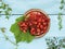 A bunch of ripe red grapes with leaves is located on a vintage metal plate. Blue wooden background. Top view