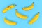 Bunch of small snack bananas on  blue background