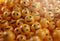 A Bunch of Smiley Emoticons. Social Media Concept Background 3D Rendering