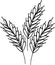 Bunch of spikelets with grains. hand drawn liner scandinavian style. harvest autumn