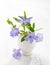 Bunch of spring flowers Vinca in eggshell on the white wooden plank.