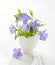 Bunch of spring flowers Vinca in eggshell on the white wooden plank. Shallow depth of field, focus on near flowers. Easter decor