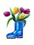 Bunch of spring tulips standing in blue rubber boot