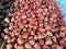 bunch of sweet red water guava fruit several fruits placed on wooden table on natural background for sale in fruit shop