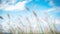 a bunch of tall grass blowing in the wind with a blue sky in the background of the photo and clouds in the background