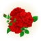 Bunch Three red roses with a bud vintage hand draw festive background vector