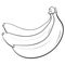 Bunch of three unopened, unpeeled ripe bananas, sketch vector illustration