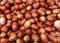 Bunch of Tomatoes Background.Photo Image