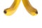 A bunch of two yellow bananas. Bright fresh fruits. Isolated photo for your design. Isolated on a white background