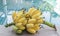 Bunch of unripe yellow cultivated bananas