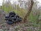 A bunch of used tires thrown away in the nature