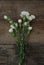 Bunch White Carnation Flower Bouquet Arrangement composition Rustic Wooden Background