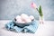 A bunch of white chicken eggs in a blue bowl. Farm product. Nearby are pink tulip. White and blue pastel background. Preparing for