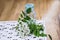 bunch of white flowers acacia near bottle of medicine. Collection of herbs in season. Branches of black locust, Robinia